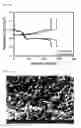 Fig. 07 - Lithium-sulfur battery