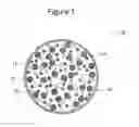 Fig. 02 - Negative-electrode active material for non-aqueous electrolyte secondary battery, negative electrode for non-aqueous electrolyte secondary battery, and non-aqueous electrolyte secondary battery