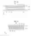 Fig. 22 - Battery and battery manufacturing method
