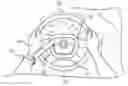 Fig. 01 - Wireless charging steering wheel