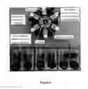 Fig. 06 - Inverter for inductive power transmitter