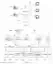 Fig. 02 - Biology based techniques for handling information security and privacy