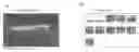 Fig. 01 - Image processing apparatus, image processing method, and program