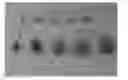 Fig. 01 - Raspberry Plant Named 'DrisRaspNine'