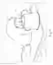 Fig. 08 - VETERINARIAN E-BOWL