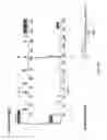 Fig. 04 - Humanized IL-4 and IL-4Rα animals
