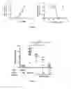 Fig. 08 - Humanized IL-4 and IL-4Rα animals