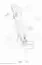 Fig. 13 - Child high chair