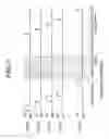 Fig. 06 - Radiographic image capturing apparatus and radiographic image capturing system
