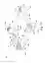 Fig. 08 - Implant for immobilizing cervical vertebrae