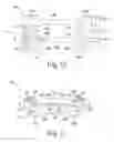 Fig. 09 - Implant for immobilizing cervical vertebrae