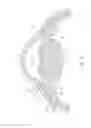 Fig. 02 - Systems and methods for delivering an ocular implant to the suprachoroidal space within an eye