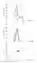 Fig. 18 - Adaptive compression therapy systems and methods