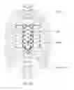 Fig. 20 - Adaptive compression therapy systems and methods