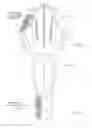 Fig. 31 - Adaptive compression therapy systems and methods