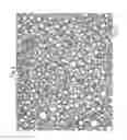 Fig. 06 - SPRAY FOAM PRODUCT
