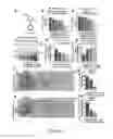 Fig. 02 - METHODS OF PREVENTING AND TREATING CEREBRAL AMYLOID ANGIOPATHY (CAA) WITH AN EDARAVONE MEDICAMENT
