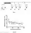 Fig. 02 - Method for treating epstein-barr virus—positive cancer with immunotherapy