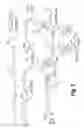 Fig. 03 - Branched oligonucleotides