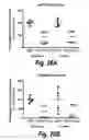 Fig. 32 - Branched oligonucleotides