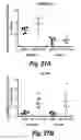 Fig. 33 - Branched oligonucleotides