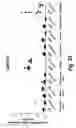 Fig. 40 - Branched oligonucleotides