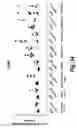 Fig. 41 - Branched oligonucleotides