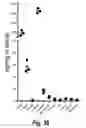 Fig. 43 - Branched oligonucleotides