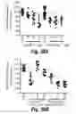 Fig. 45 - Branched oligonucleotides