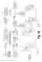 Fig. 53 - Branched oligonucleotides