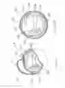 Fig. 08 - Hydraulic pumping system for expression of breast milk