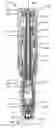 Fig. 01 - Method of manufacturing one of a range of autoinjectors