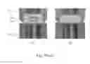Fig. 08 - Assay cartridges and methods of using the same