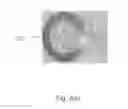 Fig. 09 - Assay cartridges and methods of using the same