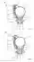 Fig. 02 - Side handle