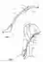 Fig. 02 - Hand implement with shock absorber