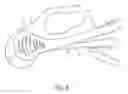 Fig. 08 - VERSATILE SHAVER