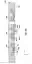 Fig. 22 - Molding system having a residue cleaning feature and an adjustable mold shut height