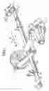Fig. 02 - Vehicle leaf spring shackle