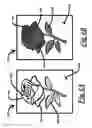 Fig. 04 - COLORABLE WINDOW SHADE