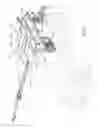 Fig. 05 - Folding handrail for work vehicle