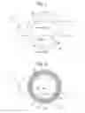 Fig. 02 - Steering wheel assembly