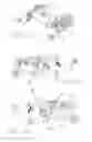 Fig. 10 - DEVICE AND METHOD FOR JOINING WEBS WITH SELF-ADHESIVE LABELS TO BE SUPPLIED TO A LABELLING MACHINE