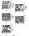 Fig. 10 - Thermal measurements using multiple frequency atomic force microscopy