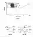 Fig. 12 - Thermal measurements using multiple frequency atomic force microscopy