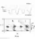 Fig. 22 - Thermal measurements using multiple frequency atomic force microscopy