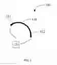 Fig. 02 - Device for making carbon nanotube structure