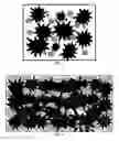 Fig. 03 - Formulation based on hydraulic cement added with amorphous glasses and micro-spheres for products of repair, maintenance or rehabilitation of concrete structures