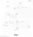 Fig. 02 - Process for producing light olefins