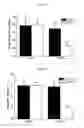 Fig. 06 - Method for the synthesis of hydroxy-triglycerides and uses thereof for the prevention and treatment of diseases